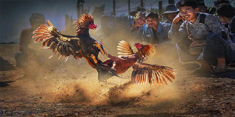 88s game đăng nhập roulette số 1