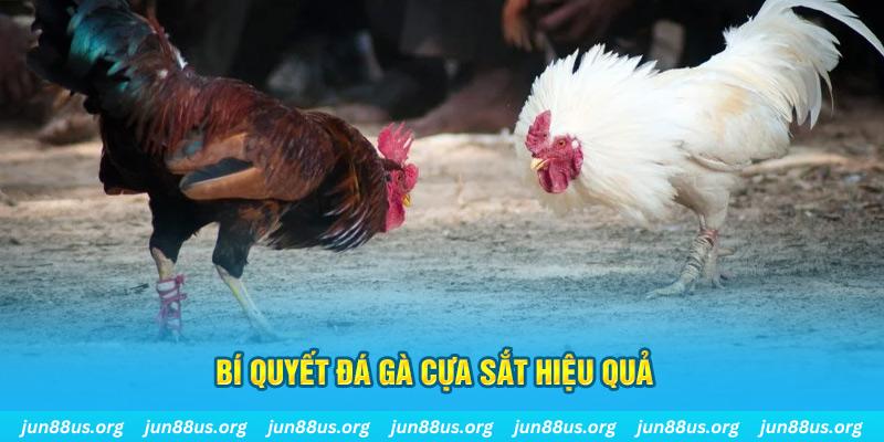 88s game đá gà cựa dao