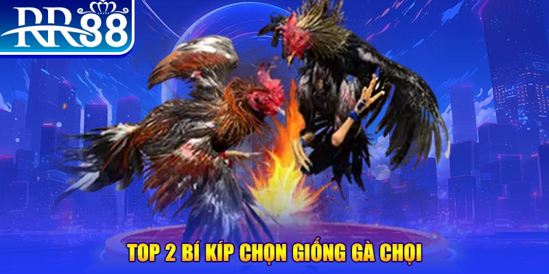 88s game đăng nhập roulette dễ thắng