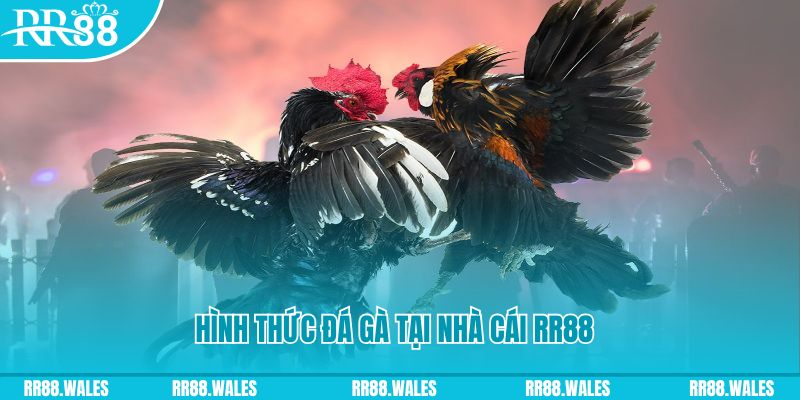 88s game xin 1 slot là gì