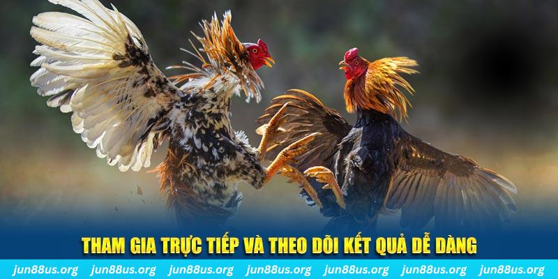 88s game đá gà trực tiếp bình luận viên