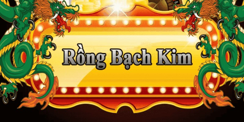 88s game đăng nhập roulette 2025