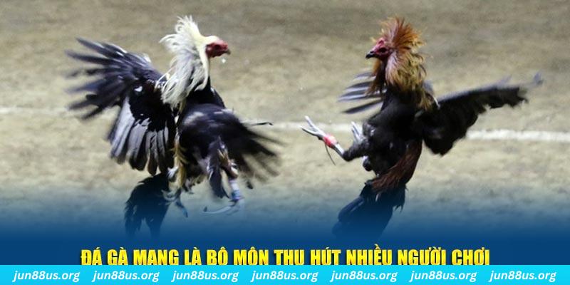 88s game xổ số cà mau