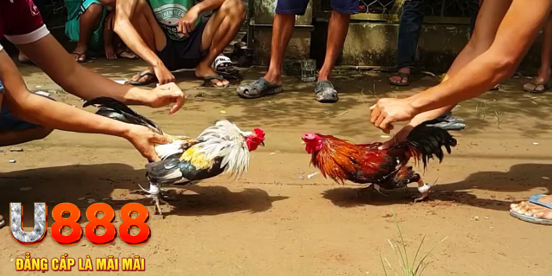 88s game đăng nhập mậu binh rút tiền nhanh