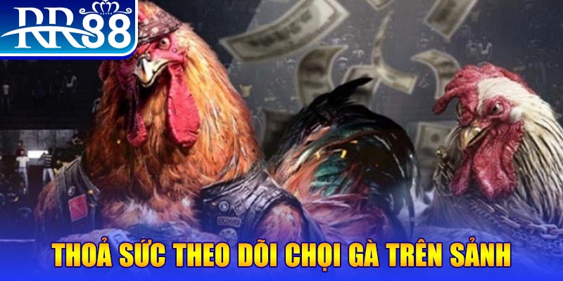 88s game đá gà 88.com