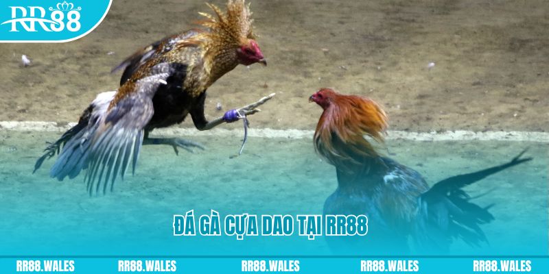 88s game đăng nhập nổ hũ dễ thắng